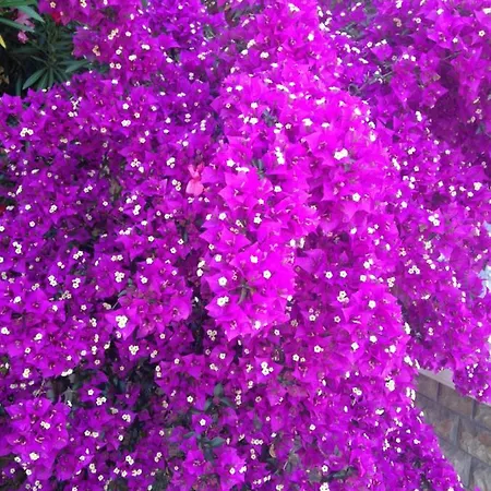 Apartment Markota Sukošan